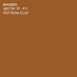 #9A5B29 - Potters Clay Color Image