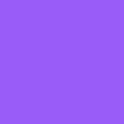 #9A5CFB - Medium Purple Color Image