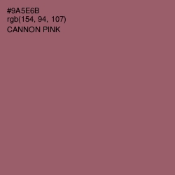 #9A5E6B - Cannon Pink Color Image