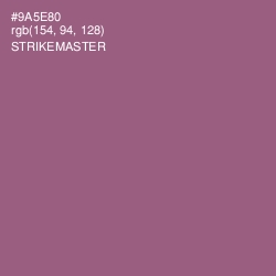 #9A5E80 - Strikemaster Color Image