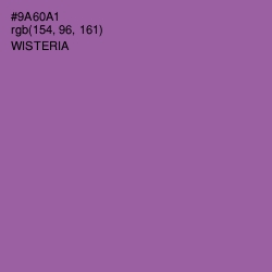 #9A60A1 - Wisteria Color Image