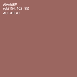 #9A665F - Au Chico Color Image