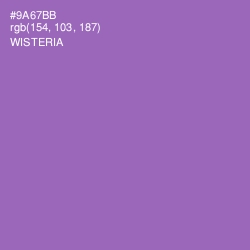 #9A67BB - Wisteria Color Image