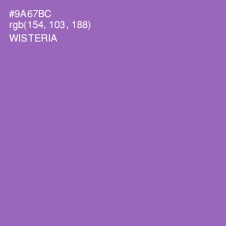 #9A67BC - Wisteria Color Image