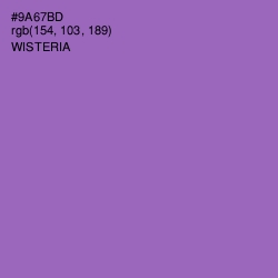 #9A67BD - Wisteria Color Image