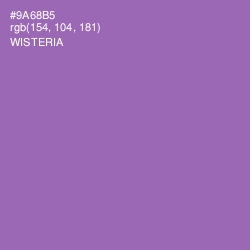 #9A68B5 - Wisteria Color Image