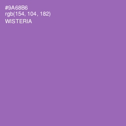 #9A68B6 - Wisteria Color Image