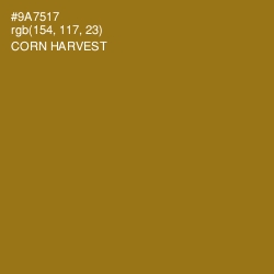 #9A7517 - Corn Harvest Color Image