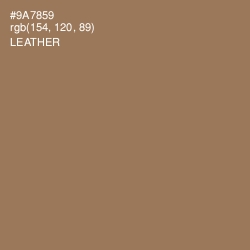 #9A7859 - Leather Color Image