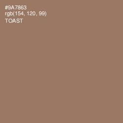 #9A7863 - Toast Color Image