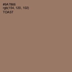 #9A7866 - Toast Color Image