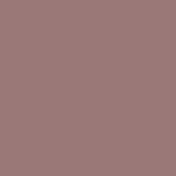 #9A7878 - Bazaar Color Image