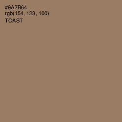 #9A7B64 - Toast Color Image