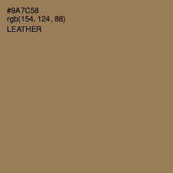 #9A7C58 - Leather Color Image