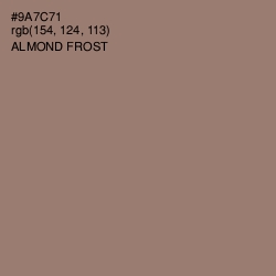 #9A7C71 - Almond Frost Color Image