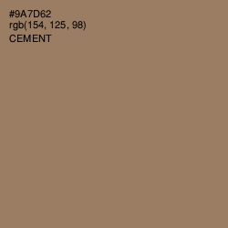 #9A7D62 - Cement Color Image