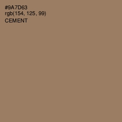 #9A7D63 - Cement Color Image