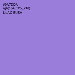 #9A7DDA - Lilac Bush Color Image