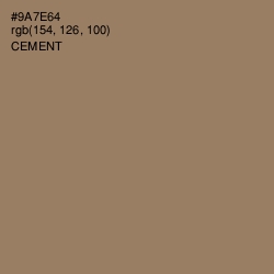 #9A7E64 - Cement Color Image