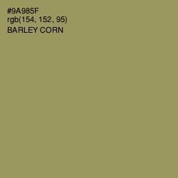 #9A985F - Barley Corn Color Image