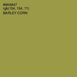 #9A9A47 - Barley Corn Color Image