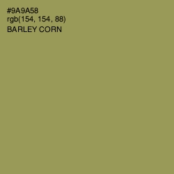 #9A9A58 - Barley Corn Color Image