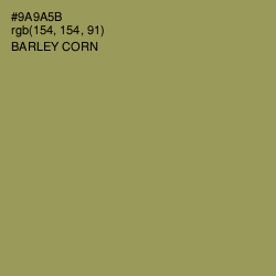 #9A9A5B - Barley Corn Color Image