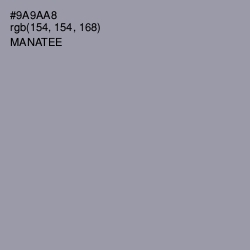 #9A9AA8 - Manatee Color Image