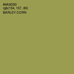 #9A9D50 - Barley Corn Color Image