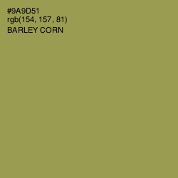#9A9D51 - Barley Corn Color Image