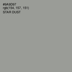 #9A9D97 - Star Dust Color Image
