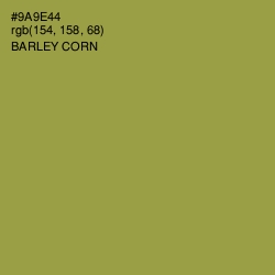 #9A9E44 - Barley Corn Color Image