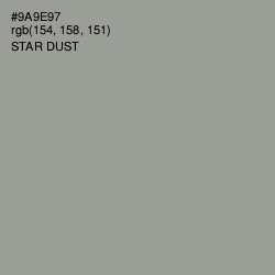 #9A9E97 - Star Dust Color Image