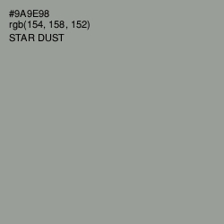 #9A9E98 - Star Dust Color Image