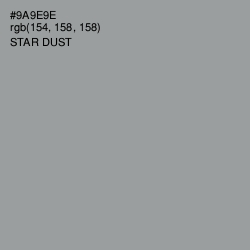 #9A9E9E - Star Dust Color Image