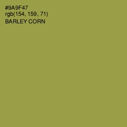 #9A9F47 - Barley Corn Color Image
