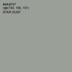 #9A9F97 - Star Dust Color Image