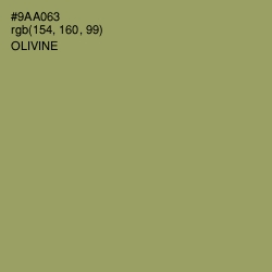 #9AA063 - Olivine Color Image
