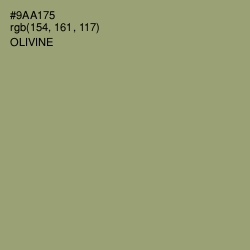 #9AA175 - Olivine Color Image