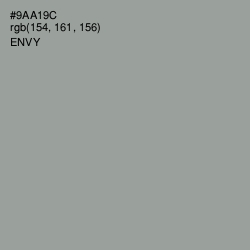 #9AA19C - Envy Color Image