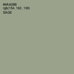 #9AA28B - Sage Color Image
