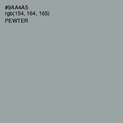 #9AA4A5 - Pewter Color Image