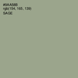 #9AA58B - Sage Color Image