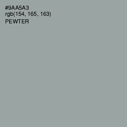 #9AA5A3 - Pewter Color Image