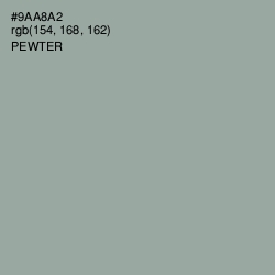 #9AA8A2 - Pewter Color Image