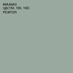 #9AA9A0 - Pewter Color Image