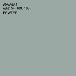 #9AA9A3 - Pewter Color Image