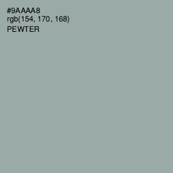 #9AAAA8 - Pewter Color Image