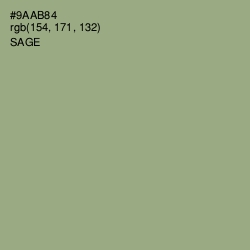 #9AAB84 - Sage Color Image