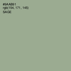 #9AAB91 - Sage Color Image